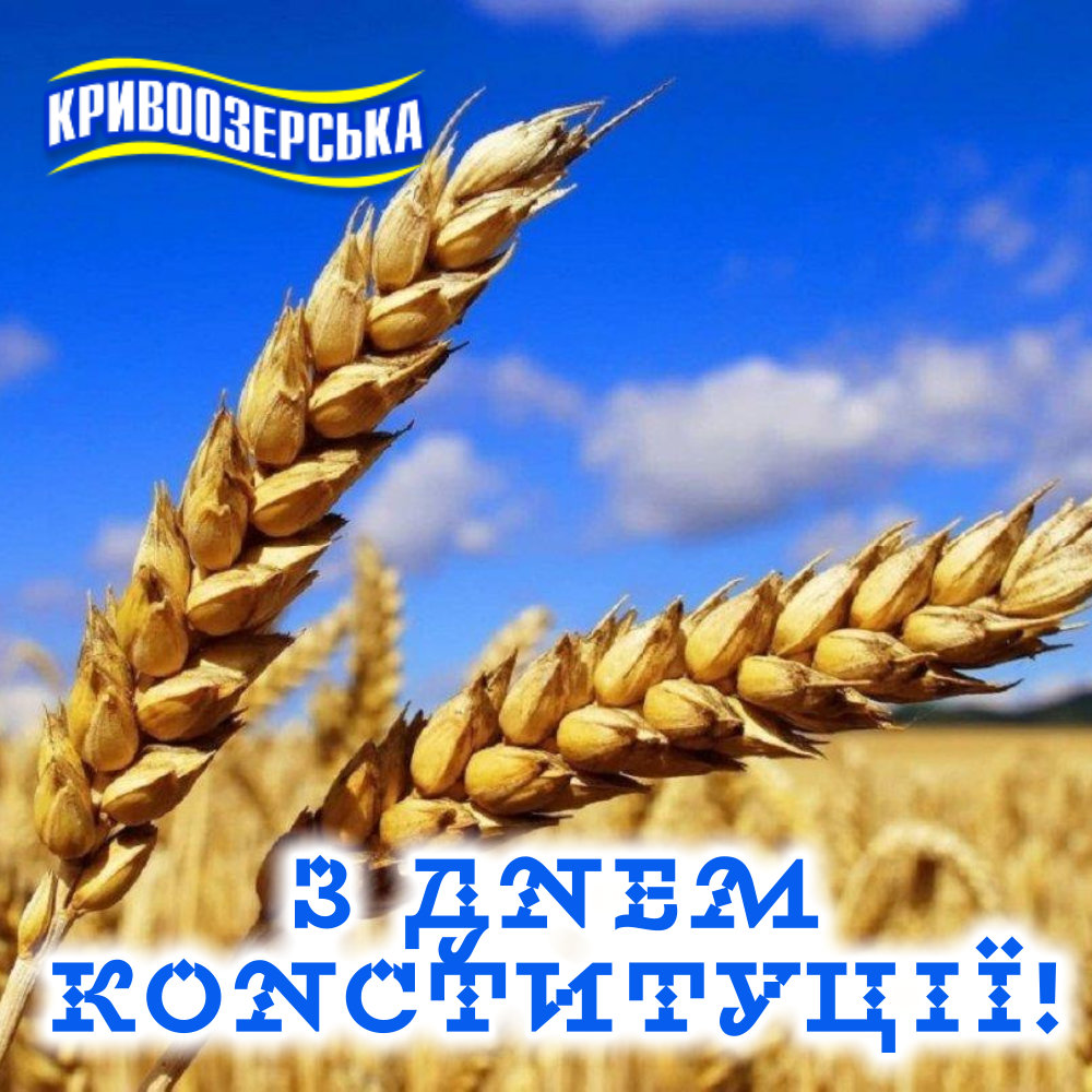 Прев'ю картинка для новини - З Днем Конституції України!